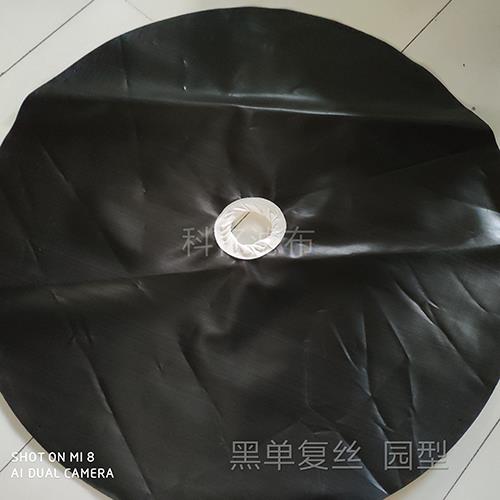 黑單復絲 園坂氣眼