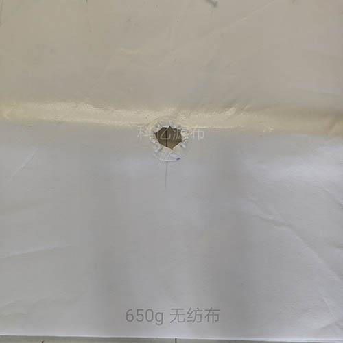 650g無(wú)紡布